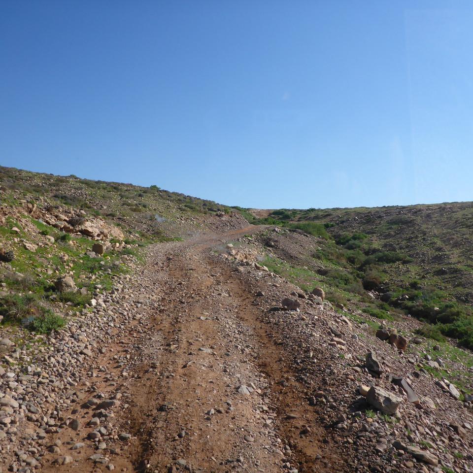 951.JPG