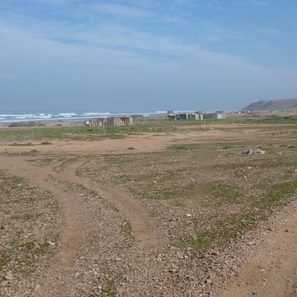 953.JPG