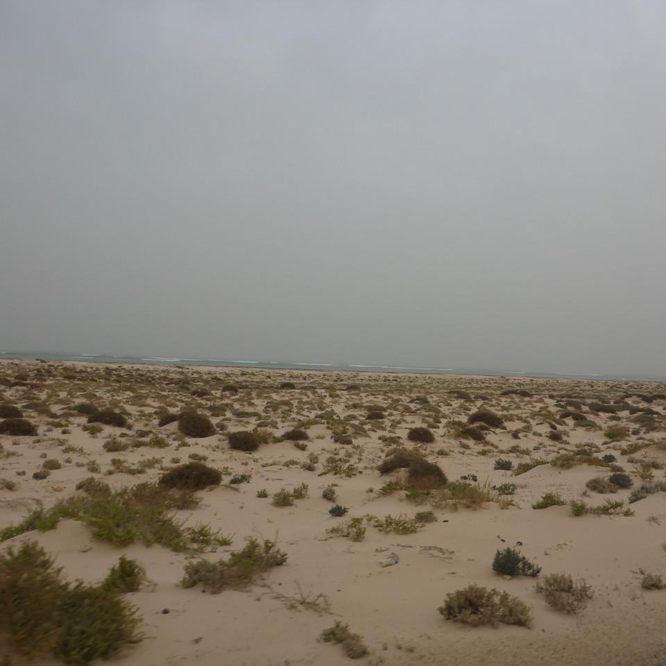 141.JPG
