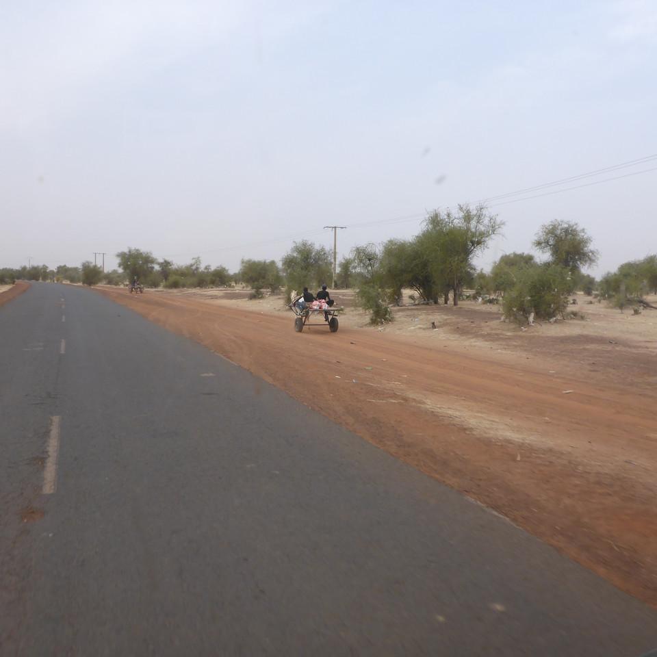 145.JPG