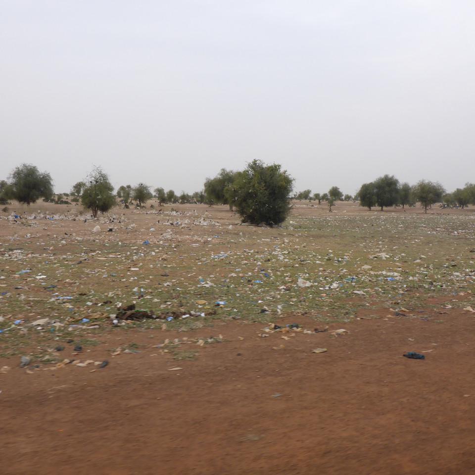 146.JPG