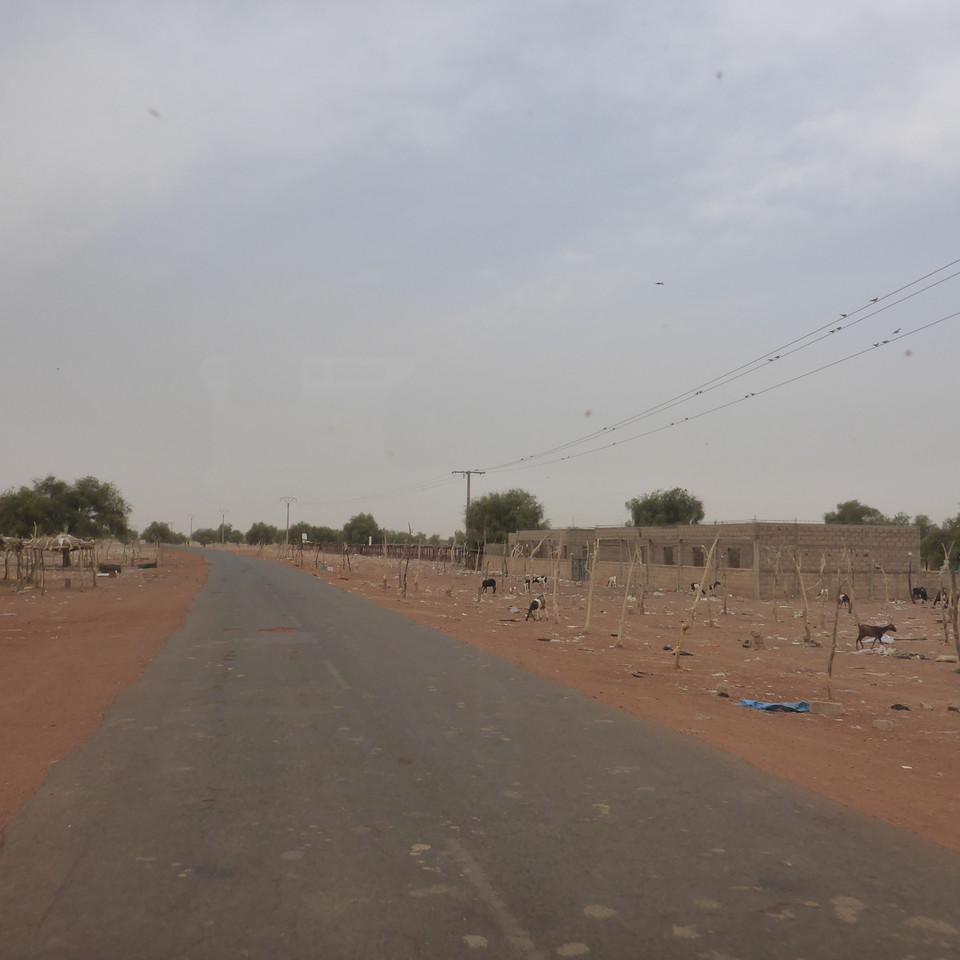 148.JPG