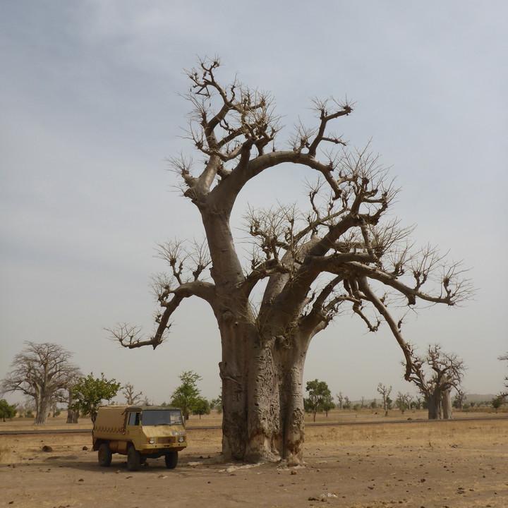 153.JPG