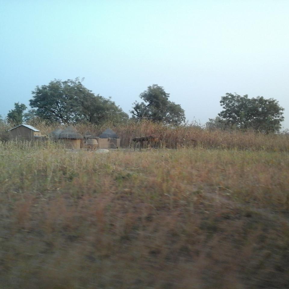 179.jpg