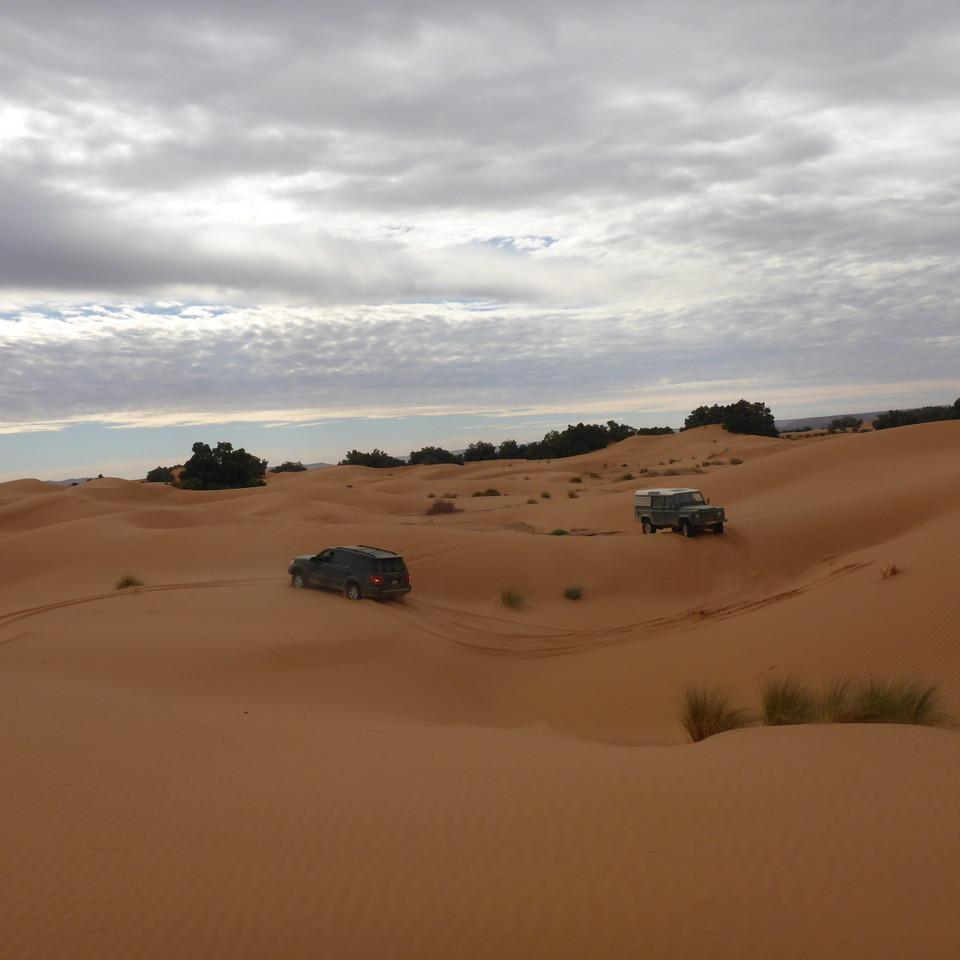106.JPG