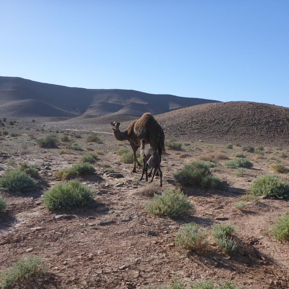 114.JPG