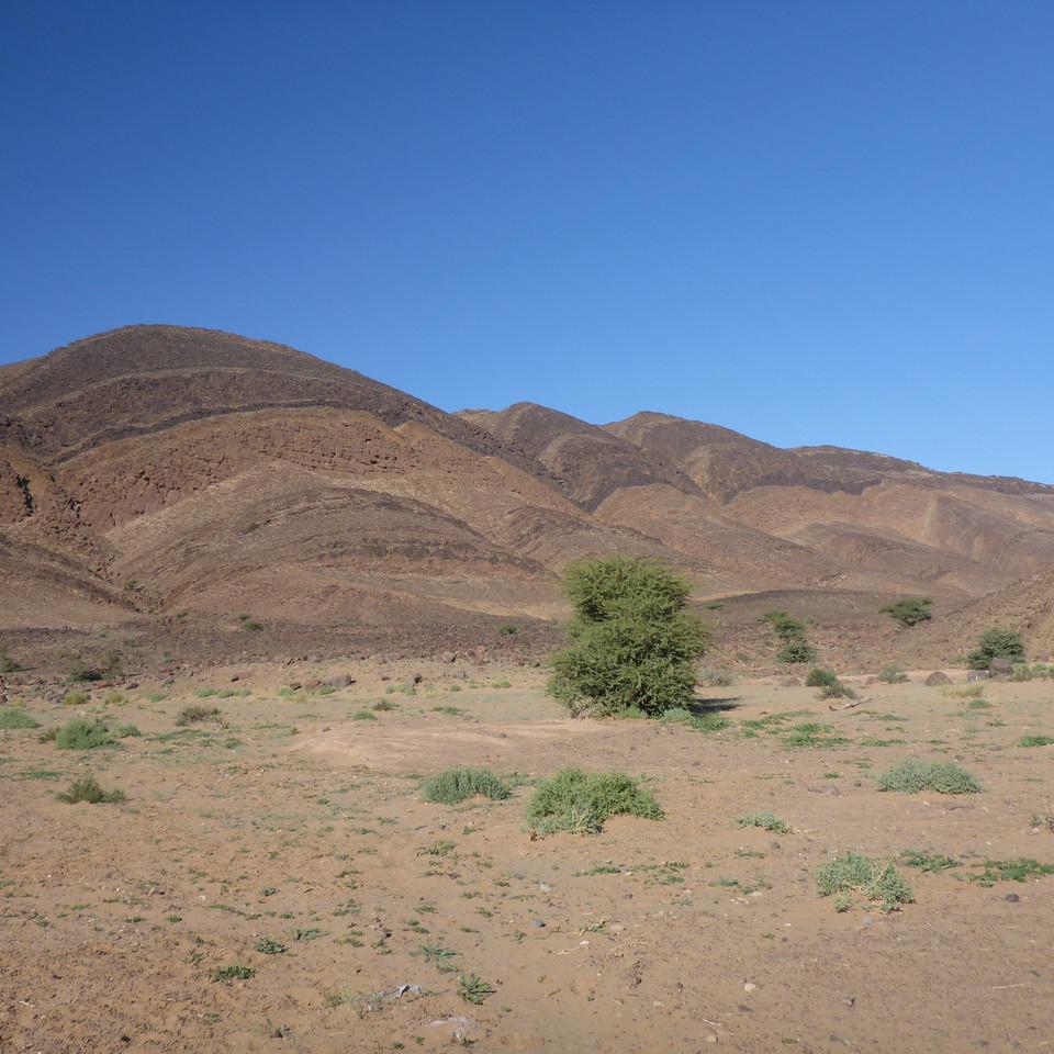 119.JPG