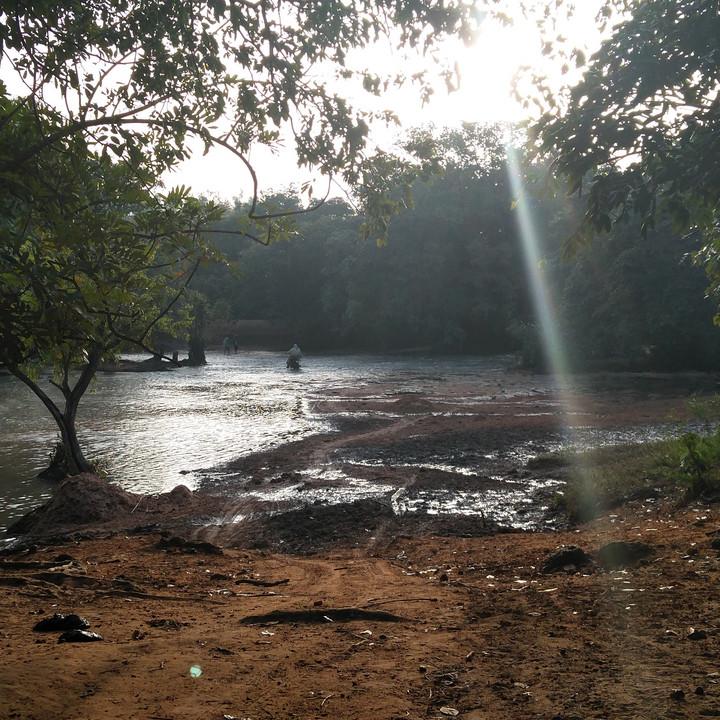 270.jpg