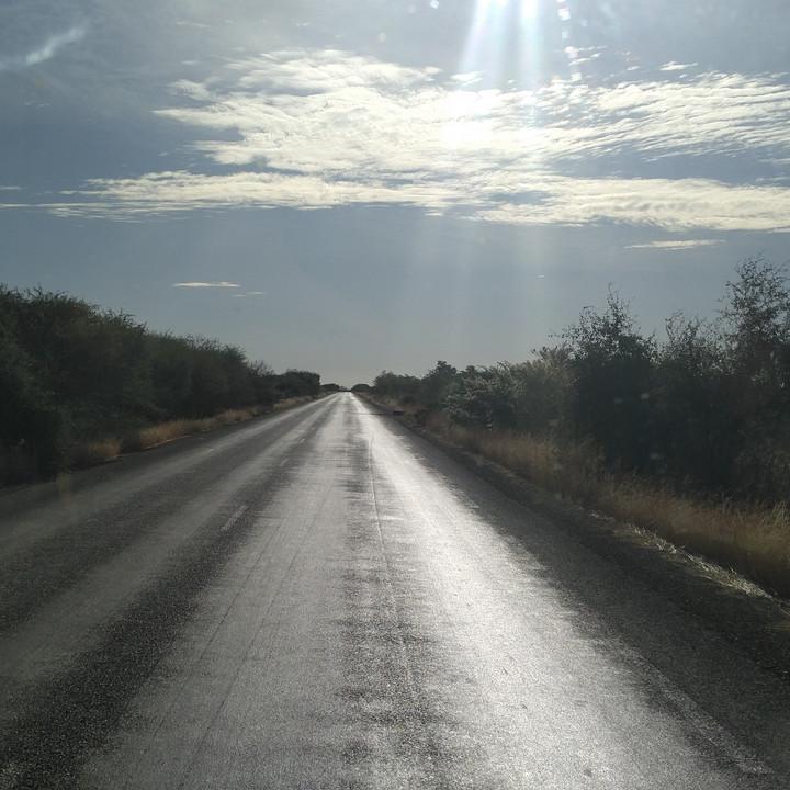 287.jpg