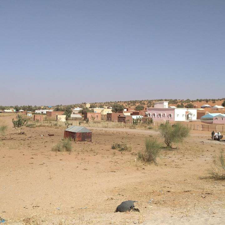304.jpg