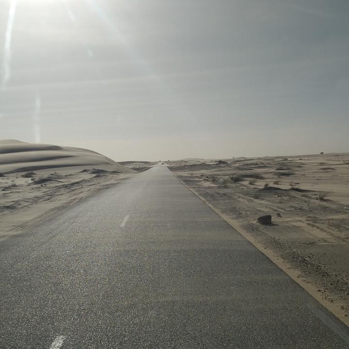 307.jpg