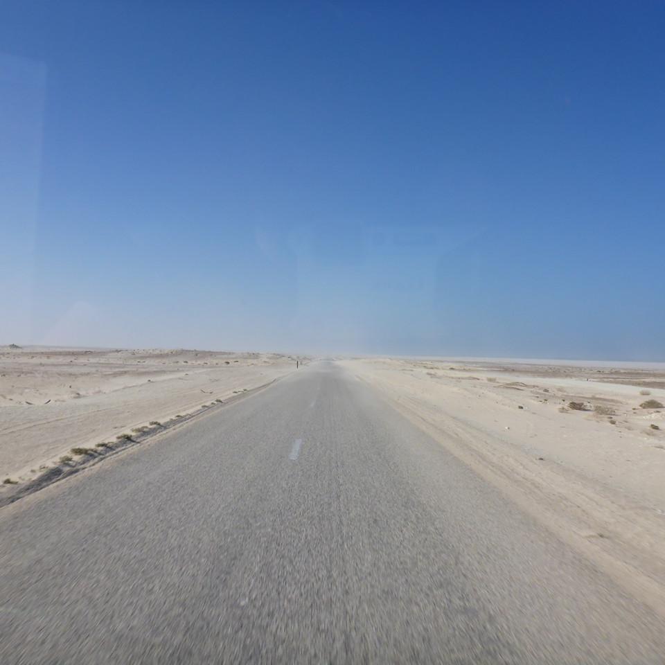 309.JPG