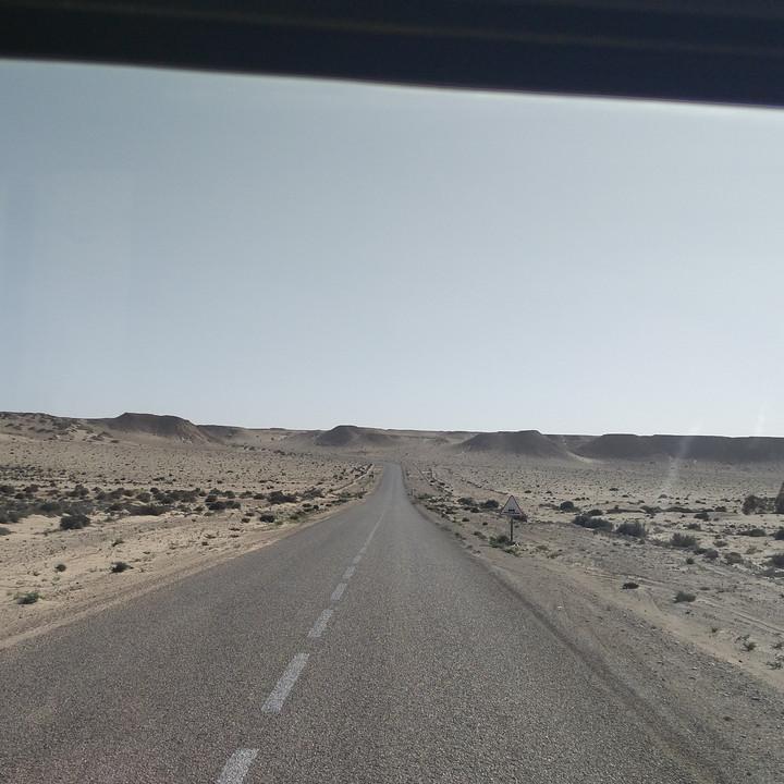 310.jpg
