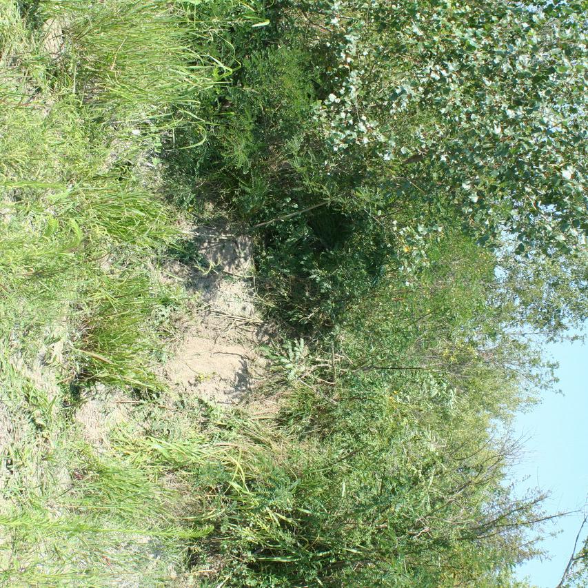 IMG_0077.JPG