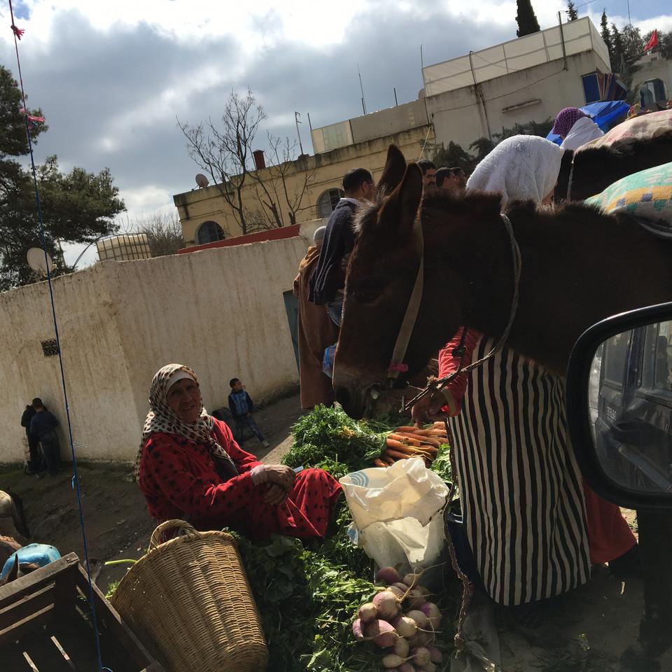 IMG_1517.JPG