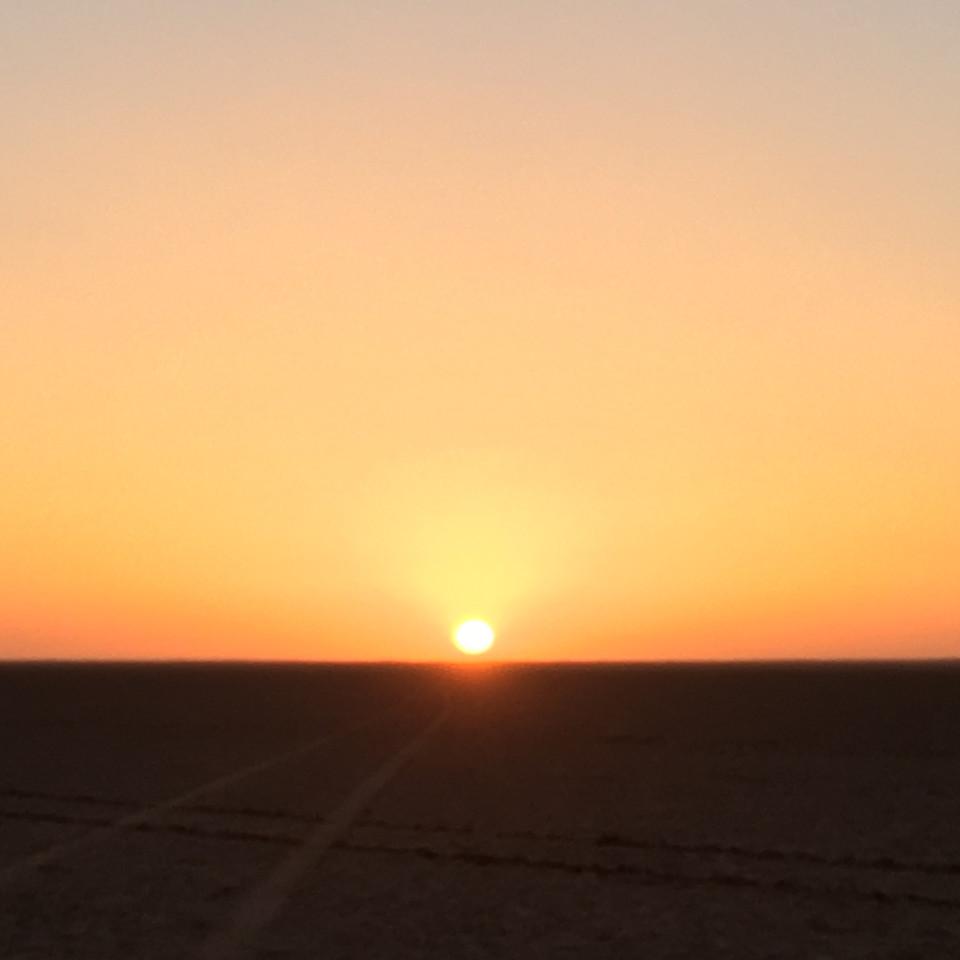 IMG_2544.JPG
