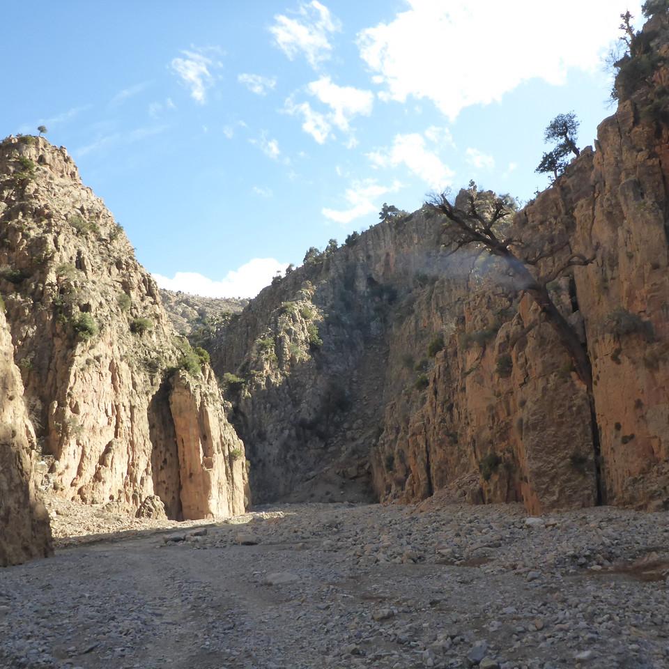 P1020452.JPG
