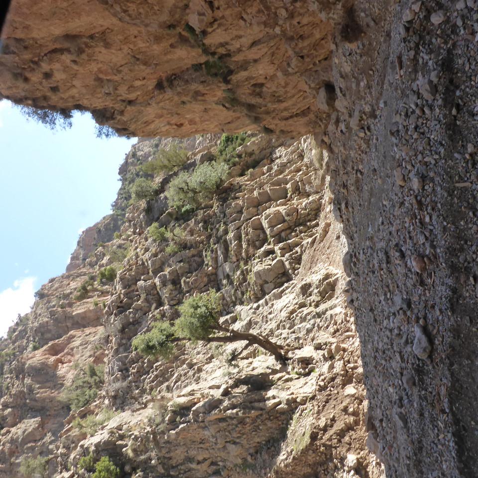 P1020460.JPG