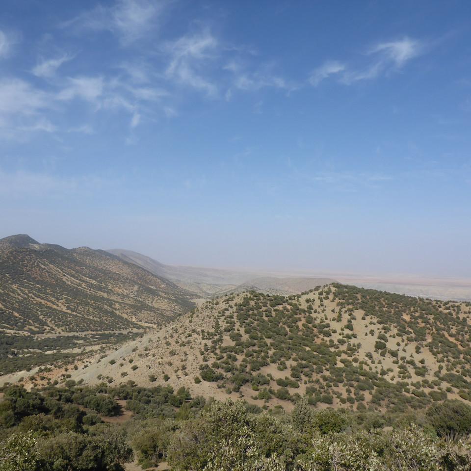 P1020472.JPG