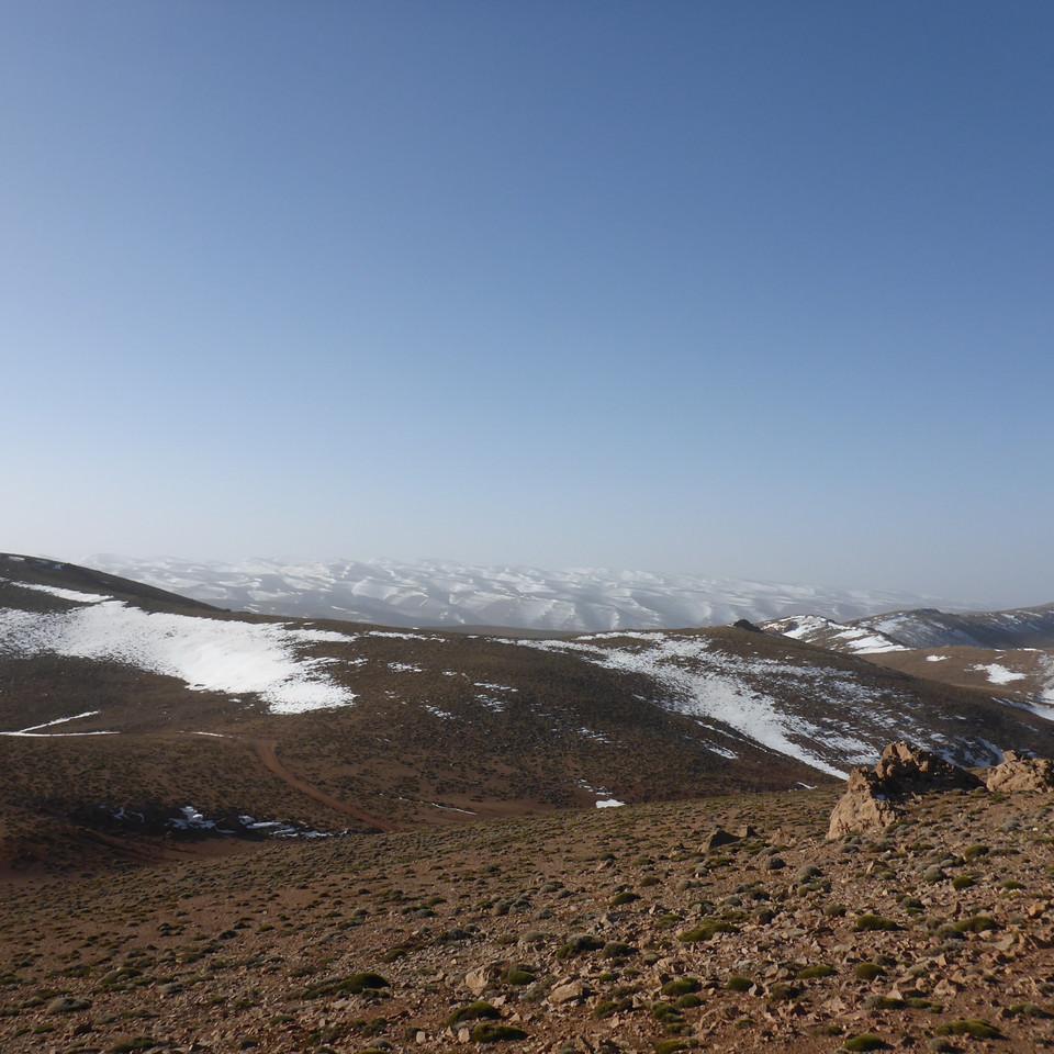 P1020487.JPG