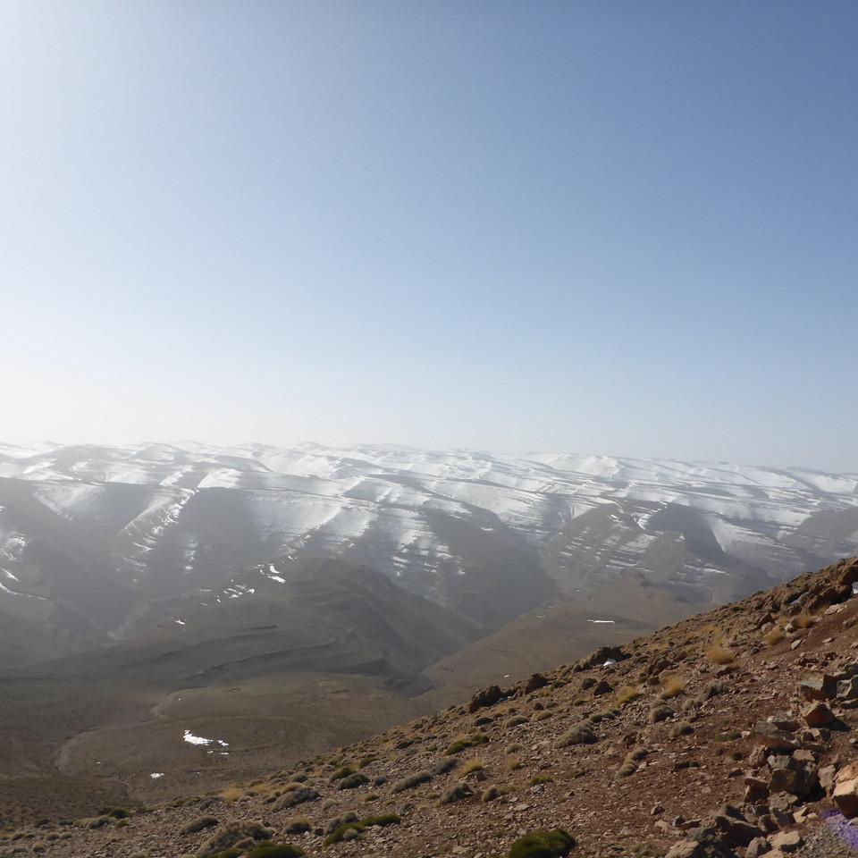 P1020496.JPG