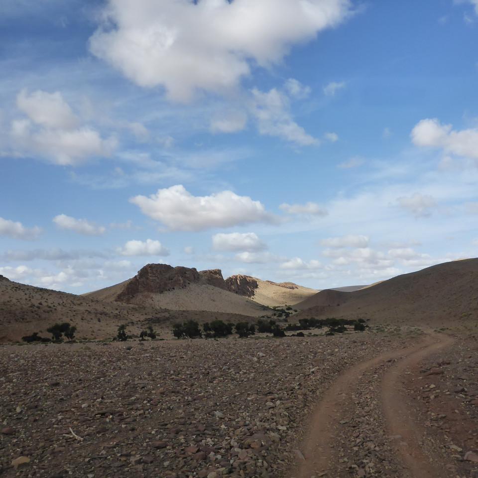 P1020648.JPG