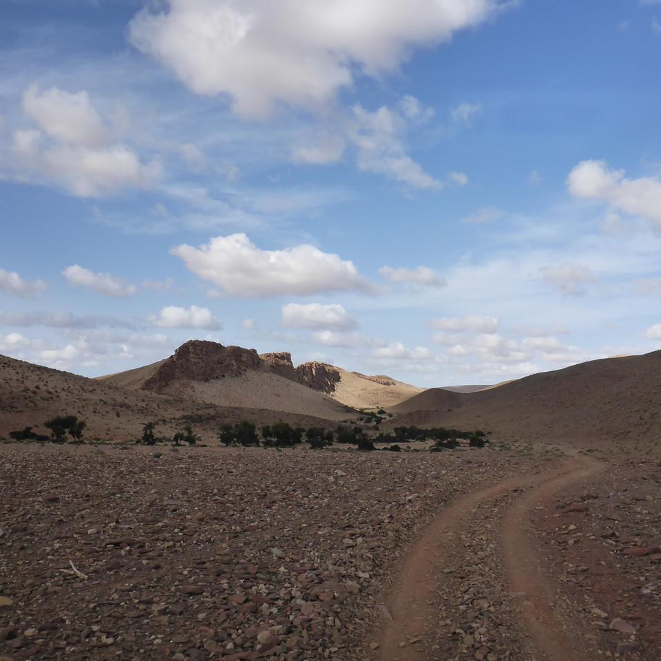 P1020649.JPG