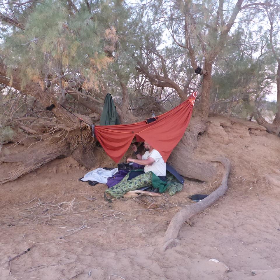 P1020604.JPG