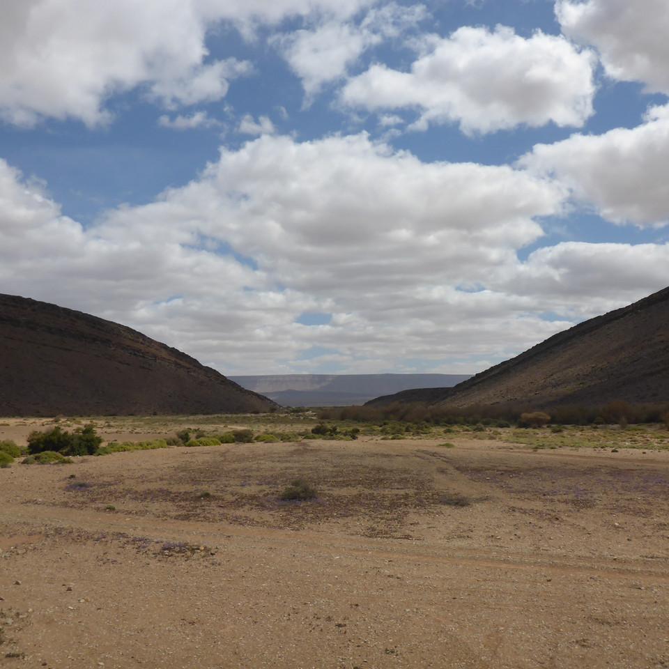 P1020636.JPG
