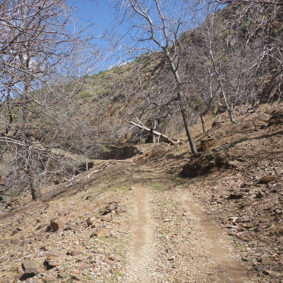 P1020755.JPG