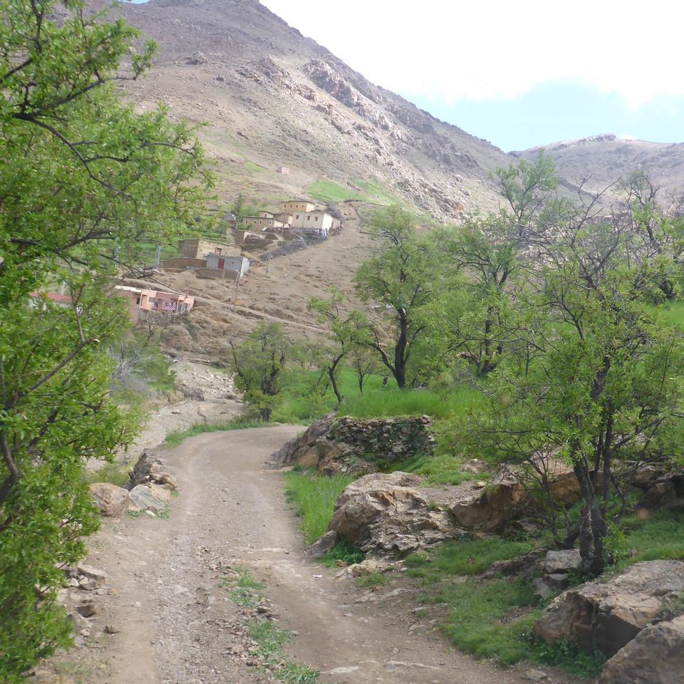 P1020774.JPG