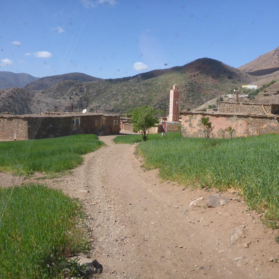 P1020780.JPG