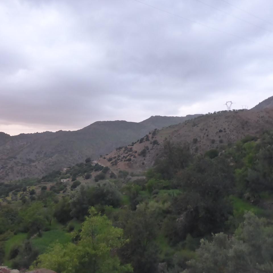 P1020711.JPG