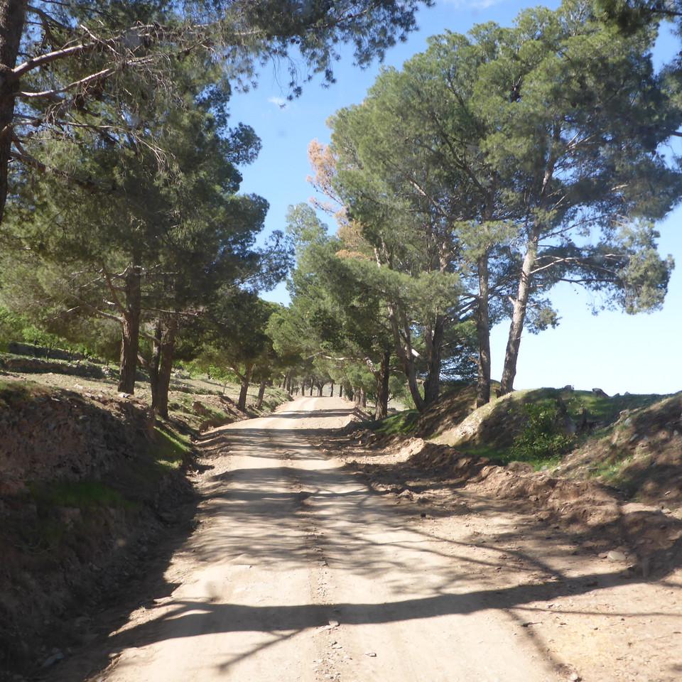 P1020716.JPG