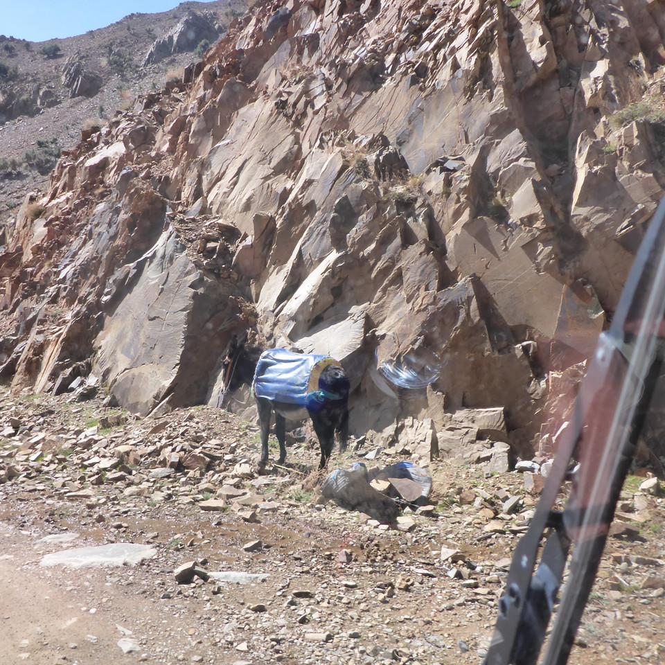 P1020727.JPG