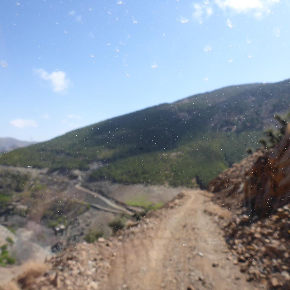 P1020731.JPG