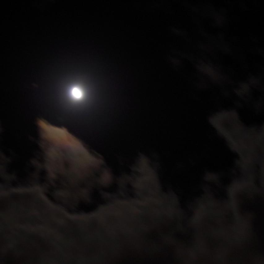 IMGP0440.JPG