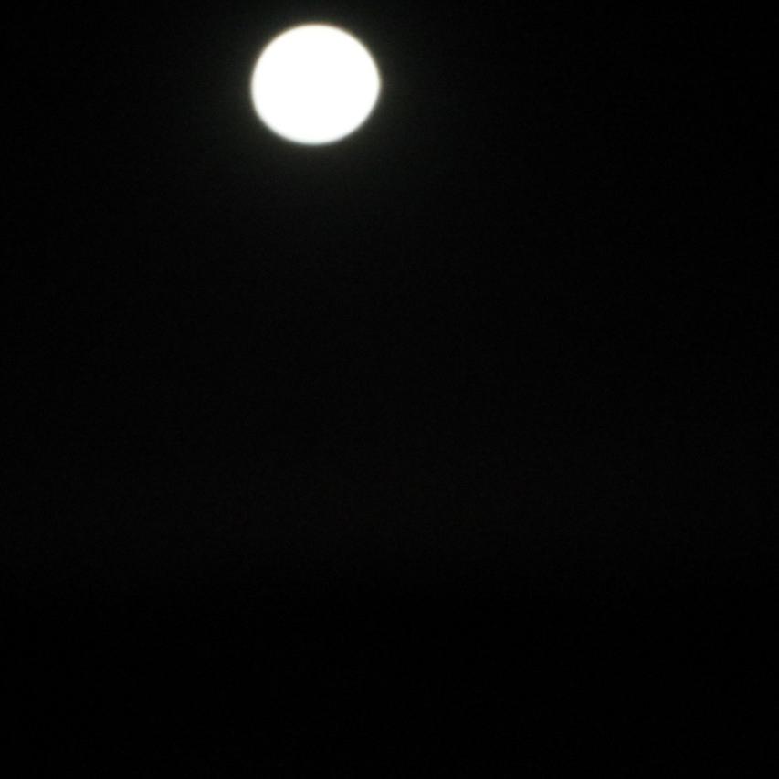 IMGP0566.JPG