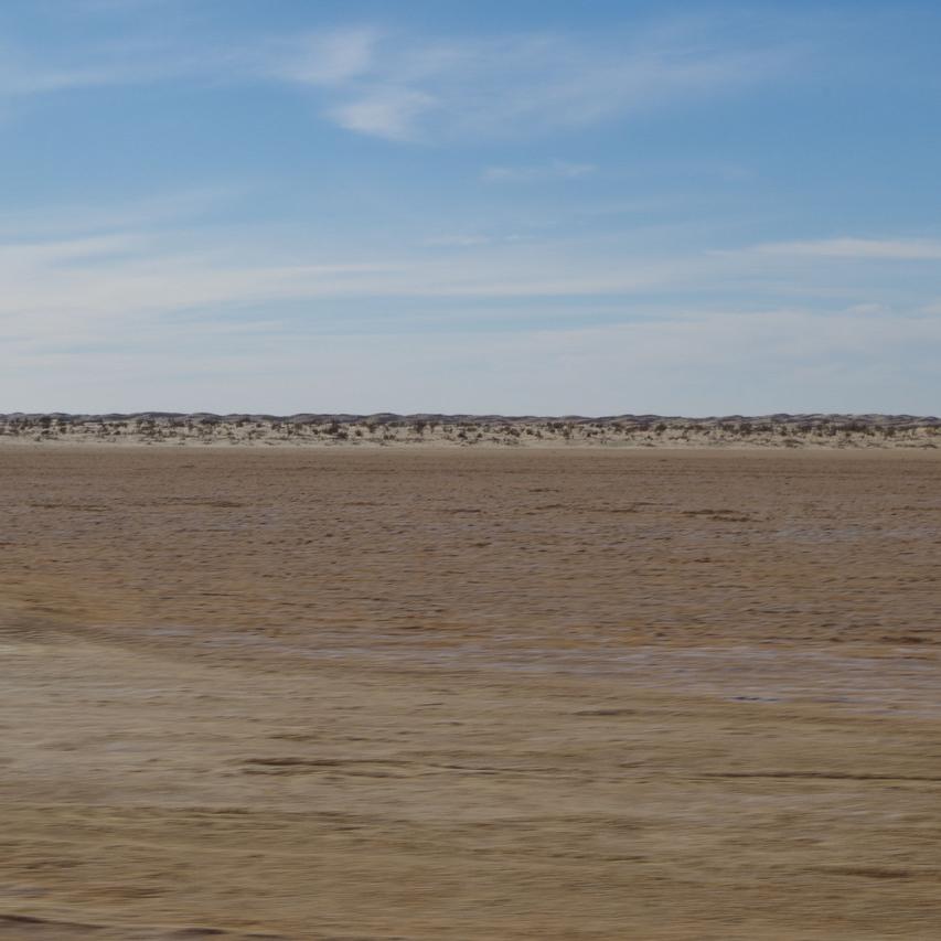 IMGP0514.JPG