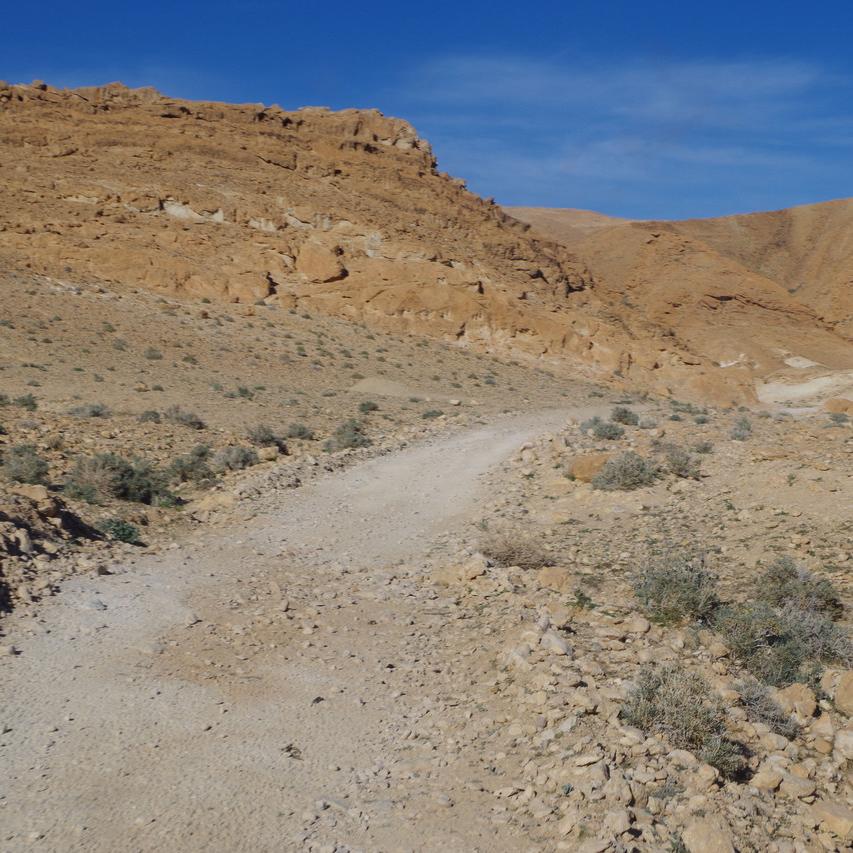 IMGP0906.JPG