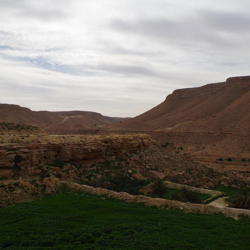 IMGP1422.JPG