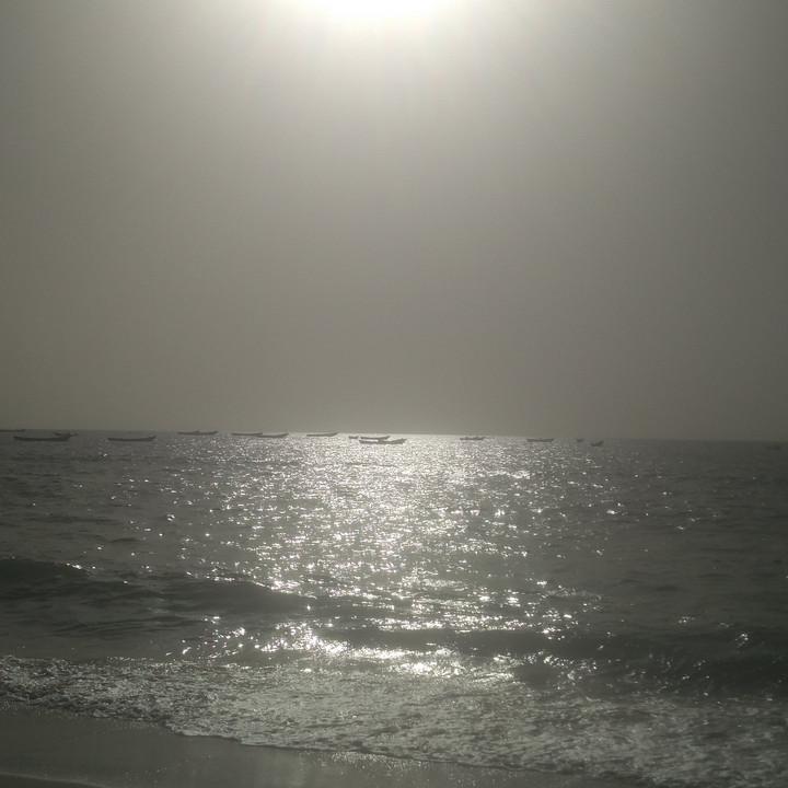 IMG_20190315_172034.jpg