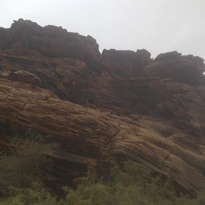 IMG_20190317_131925.jpg