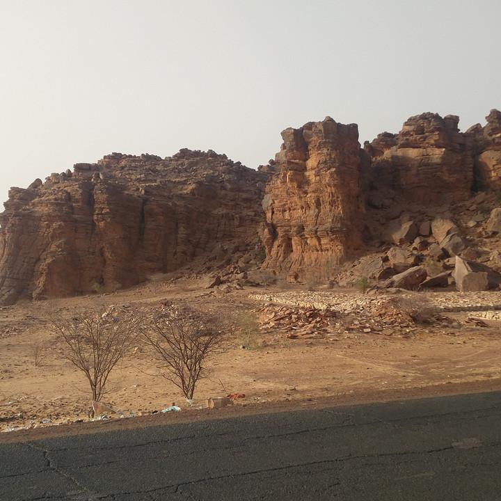 IMG_20190318_081150.jpg