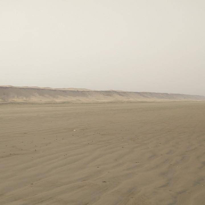 IMG_20190310_084140.jpg