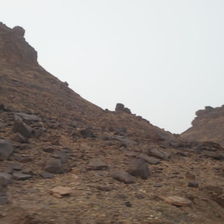 IMG_20190312_184437.jpg