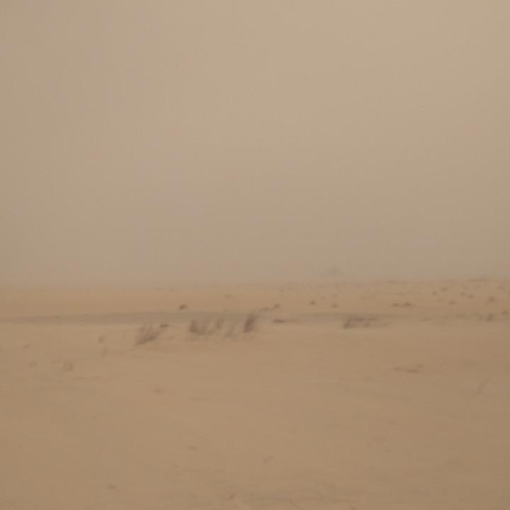 IMG_20190312_122300.jpg