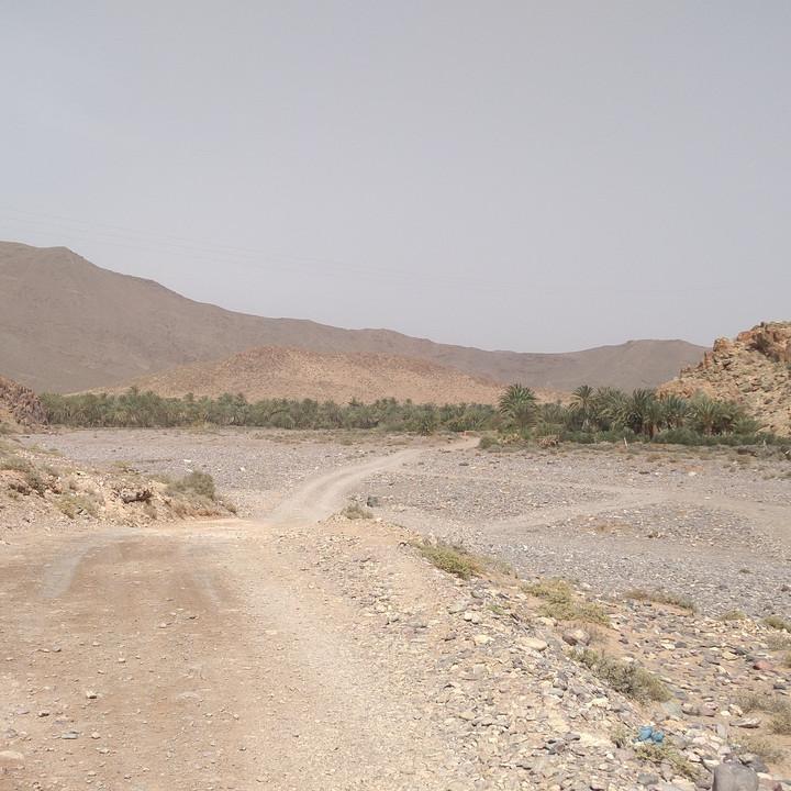 IMG_20190324_144155.jpg
