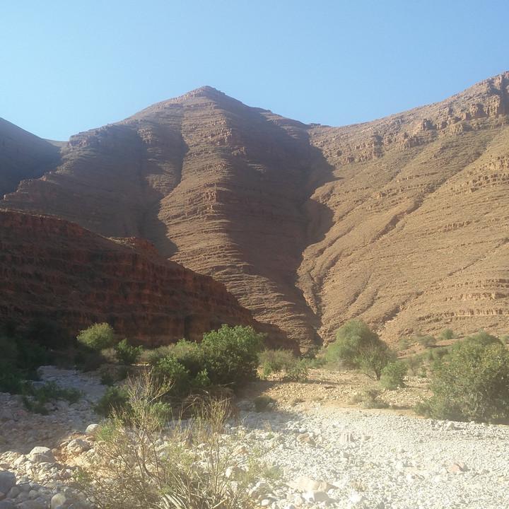 IMG_20190327_082458.jpg