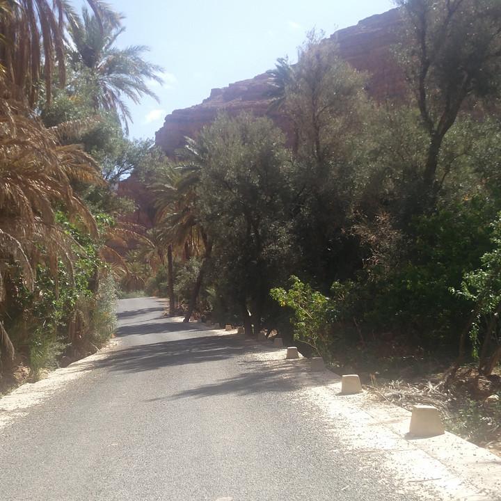 IMG_20190327_101554.jpg